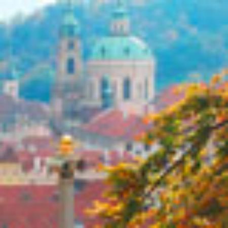 Pine Forest Meat Eating Restaurant